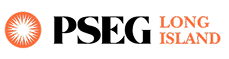 Pseg
